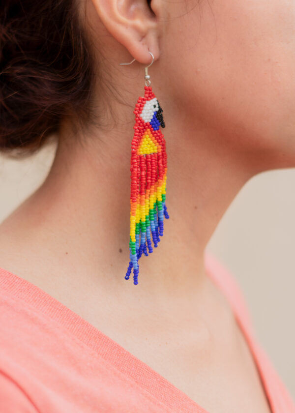 papagayo Aretes Papagayo | Mostacilla